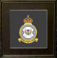 53 Squadron RAF Badge/Crest 