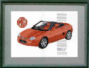 MGF Car