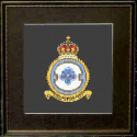 541 Squadron RAF Badge 